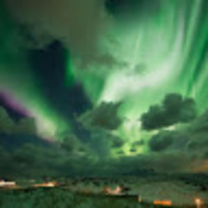 Meet your Posher, Desiree